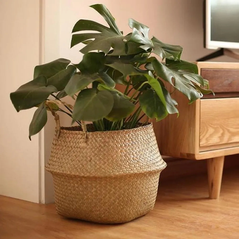 Meeresalgen Blumentopf aus Rattan