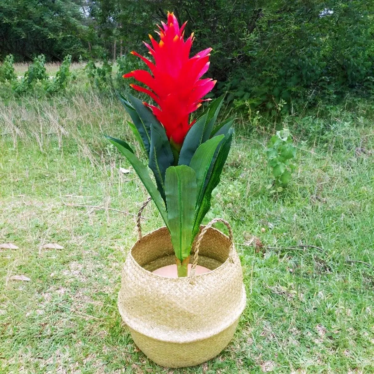 Meeresalgen Blumentopf aus Rattan